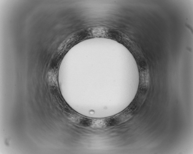 X0000102380705200808291401