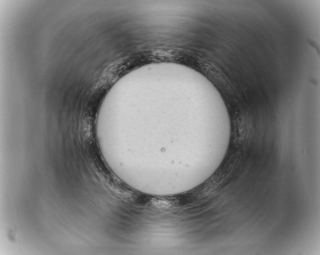 X0000102380706200808291401