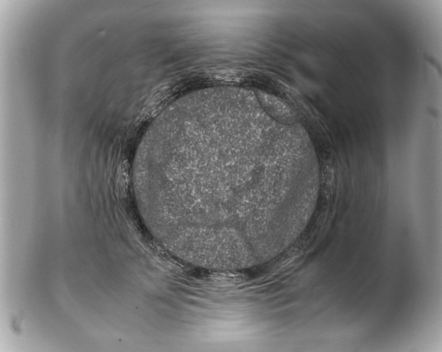 X0000102380707200808291401