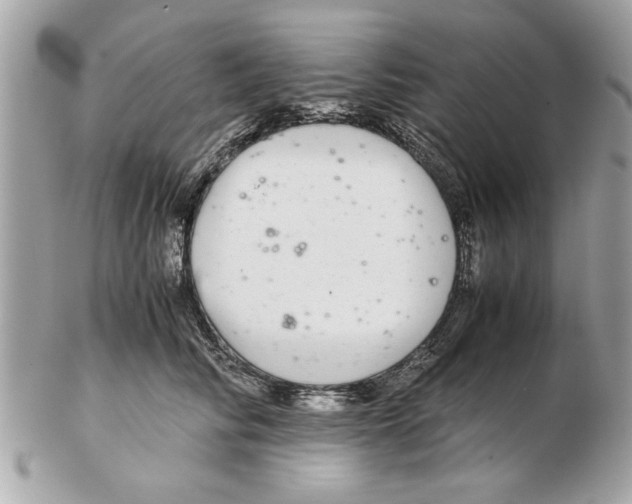 X0000102380710200808291401