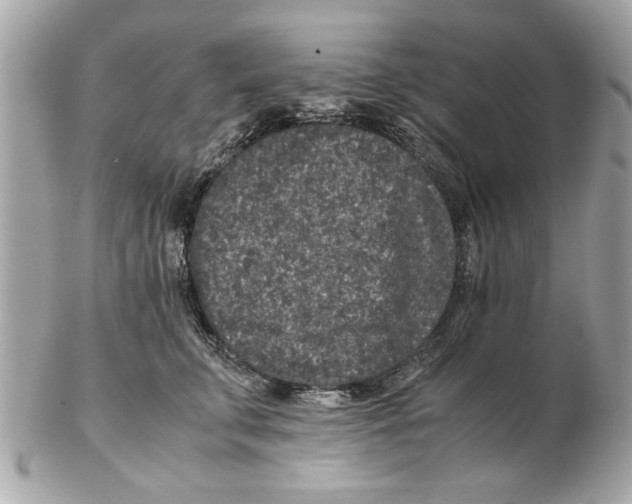 X0000102380711200808291401