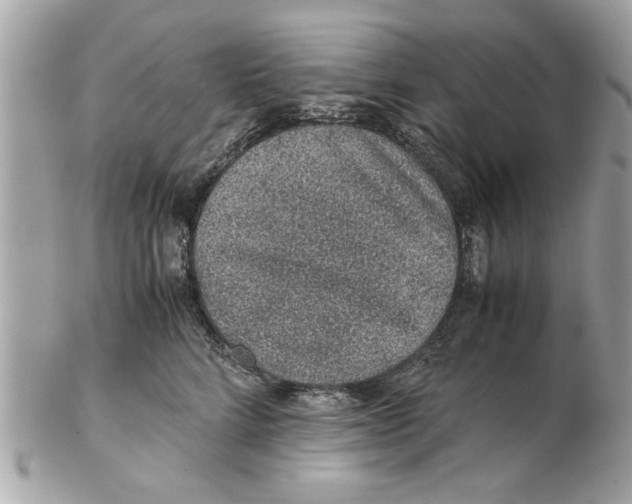 X0000102380712200808291401