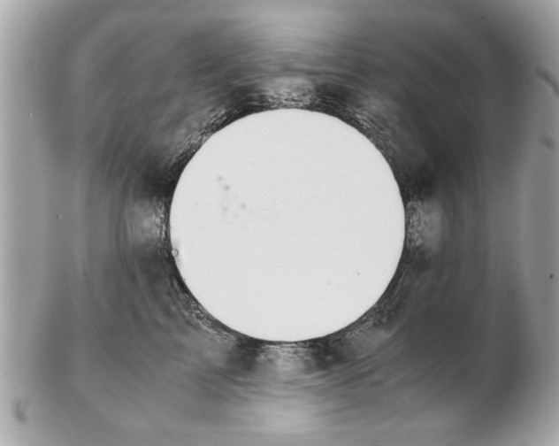 X0000102380713200808291401