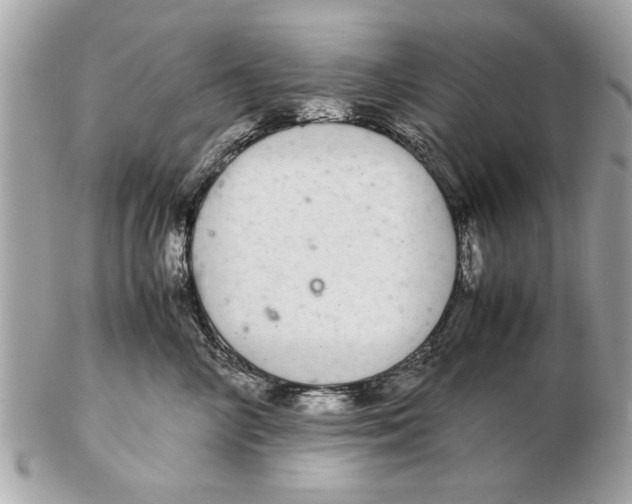 X0000102380714200808291401