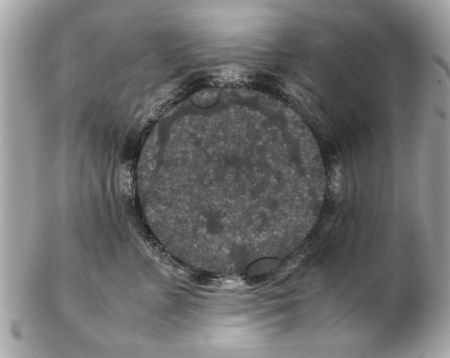 X0000102380715200808291401