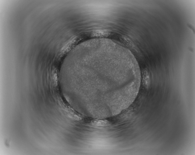 X0000102380716200808291401