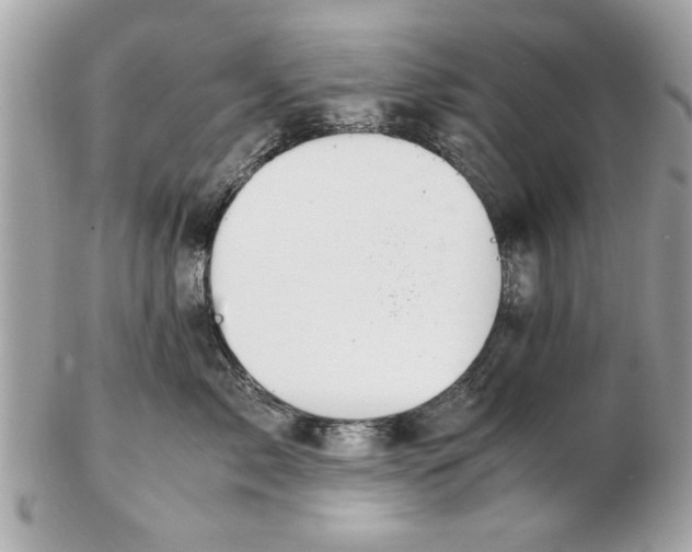 X0000102380717200808291401