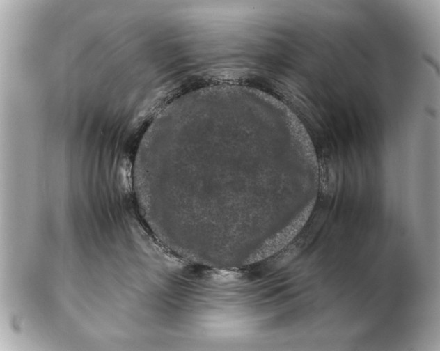 X0000102380718200808291401