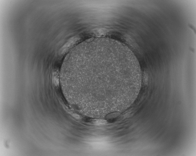 X0000102380719200808291401