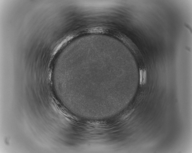 X0000102380723200808291400