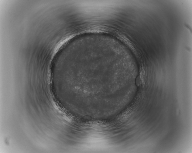 X0000102380724200808291400