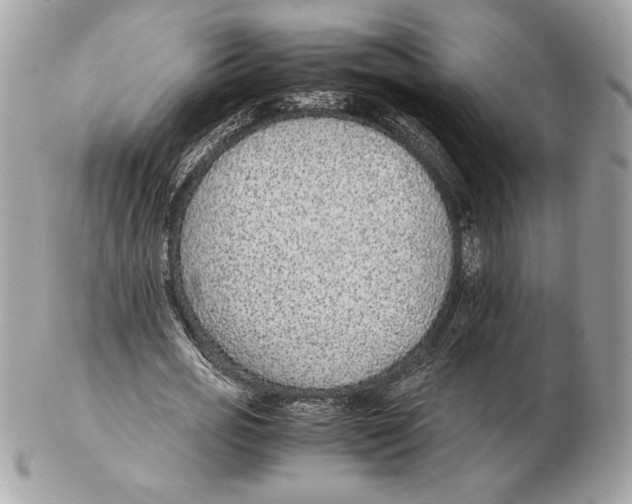 X0000102380725200808291400