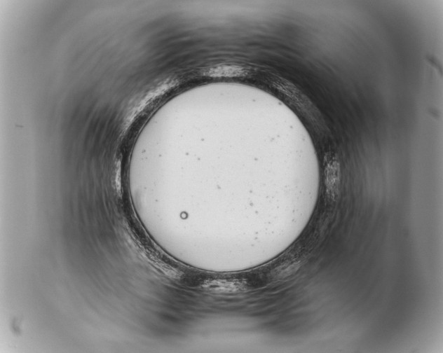 X0000102380727200808291400