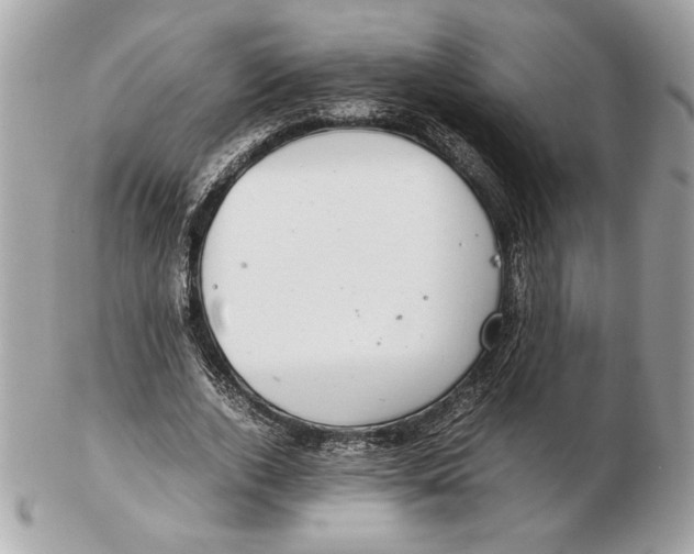 X0000102380728200808291400