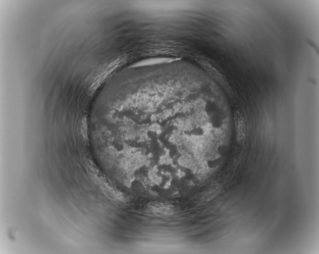 X0000102380729200808291400