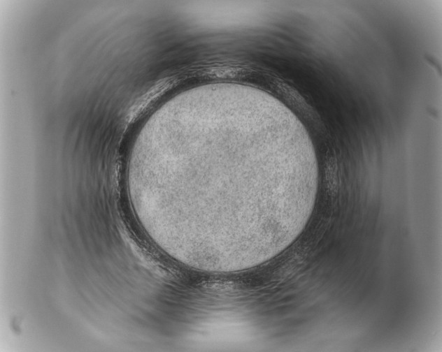 X0000102380730200808291400