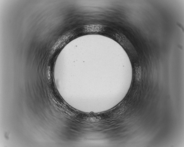 X0000102380731200808291400