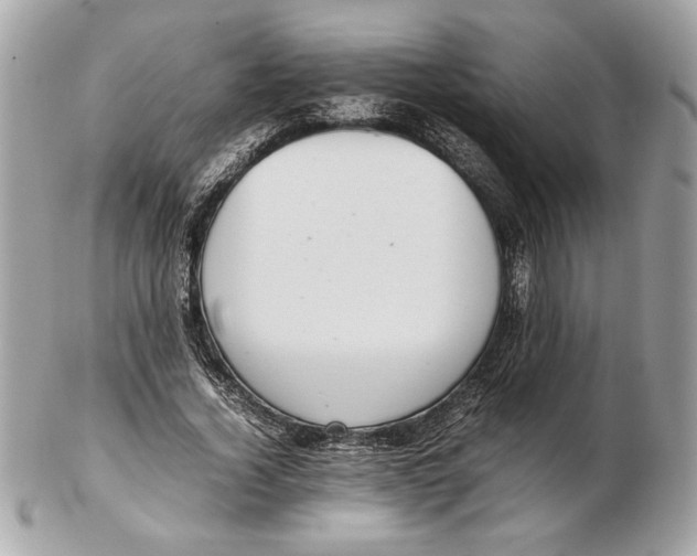 X0000102380732200808291400