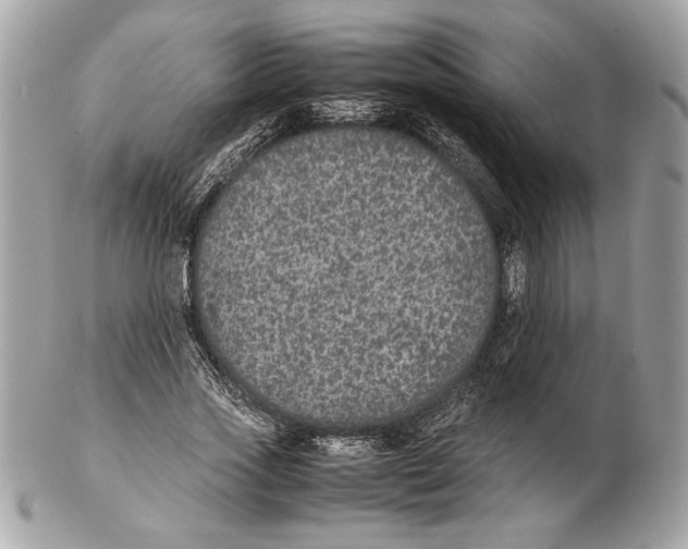 X0000102380733200808291400