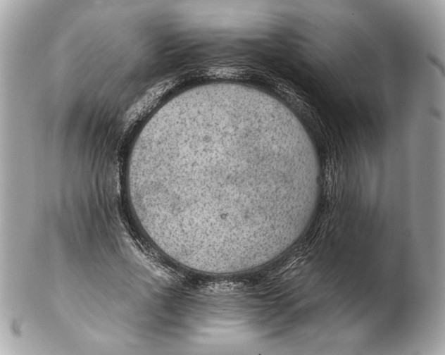 X0000102380734200808291400