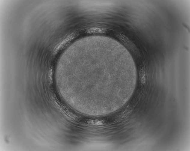 X0000102380735200808291400