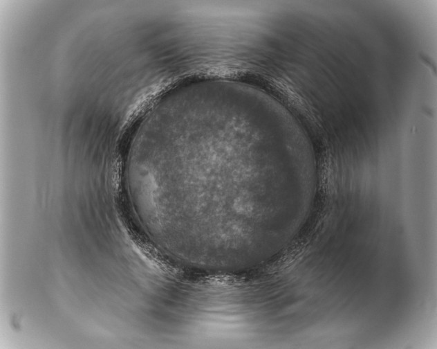 X0000102380736200808291400