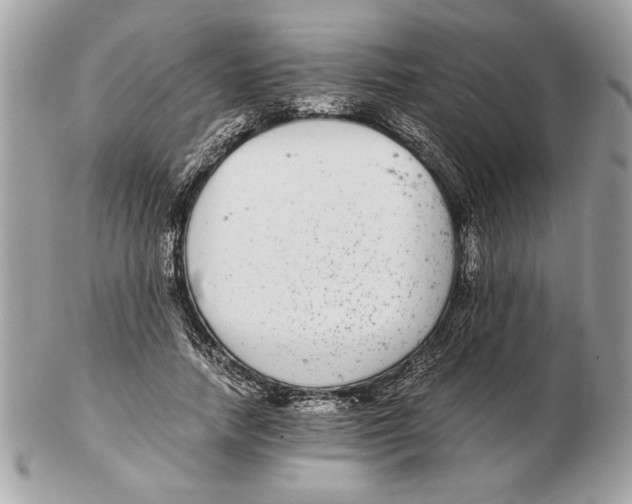 X0000102380738200808291400