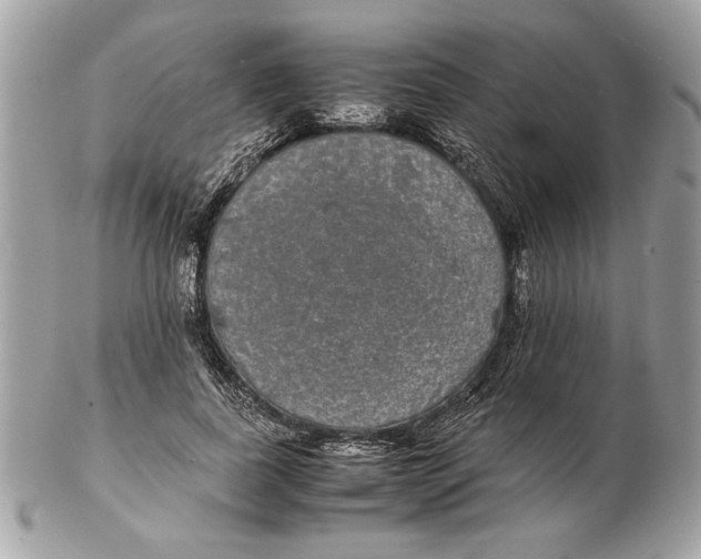 X0000102380739200808291400