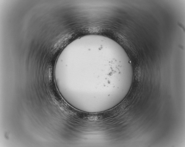 X0000102380740200808291400