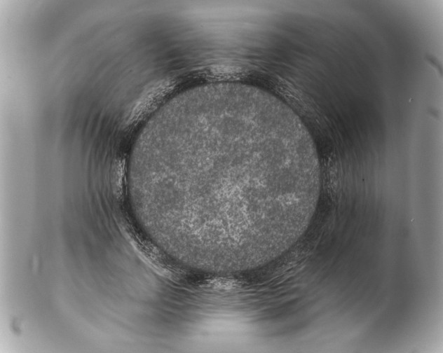 X0000102380742200808291400