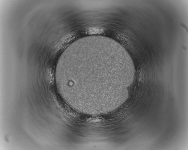 X0000102380743200808291400