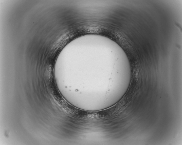 X0000102380744200808291400