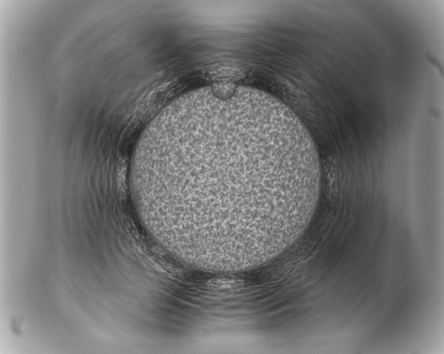 X0000102380745200808291400