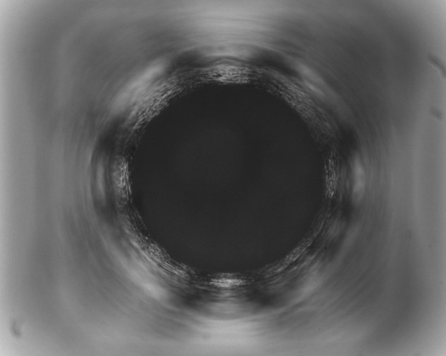 X0000102380748200808291401