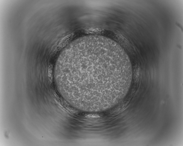 X0000102380749200808291401