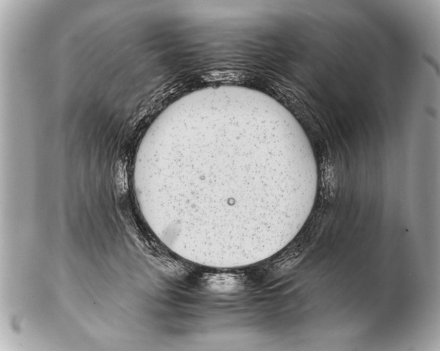 X0000102380751200808291401