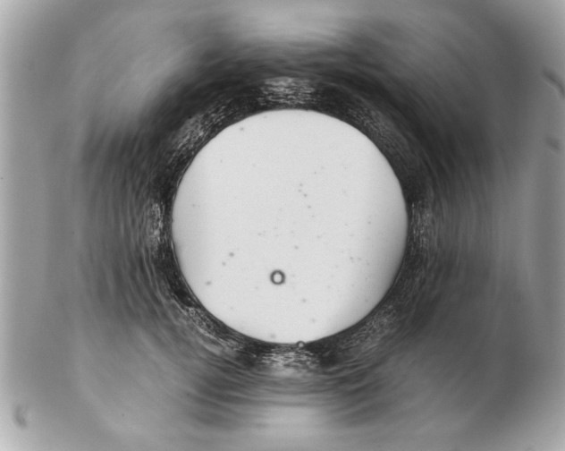 X0000102380752200808291401