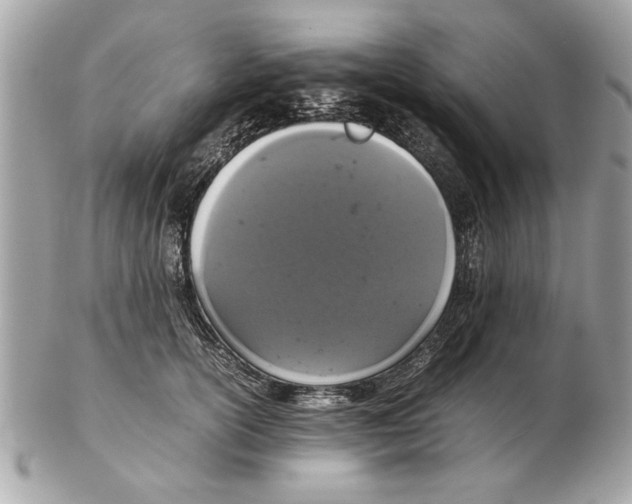 X0000102380754200808291401