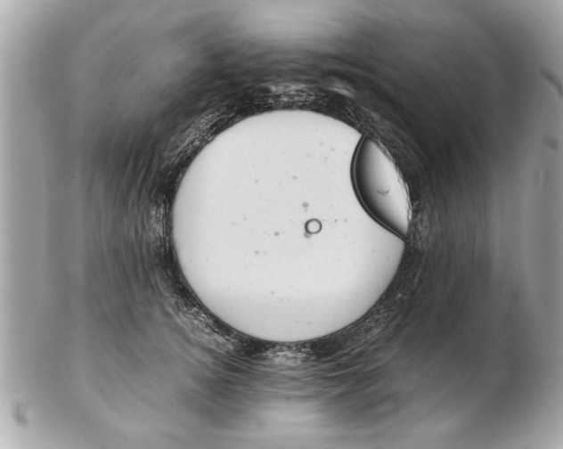 X0000102380756200808291401