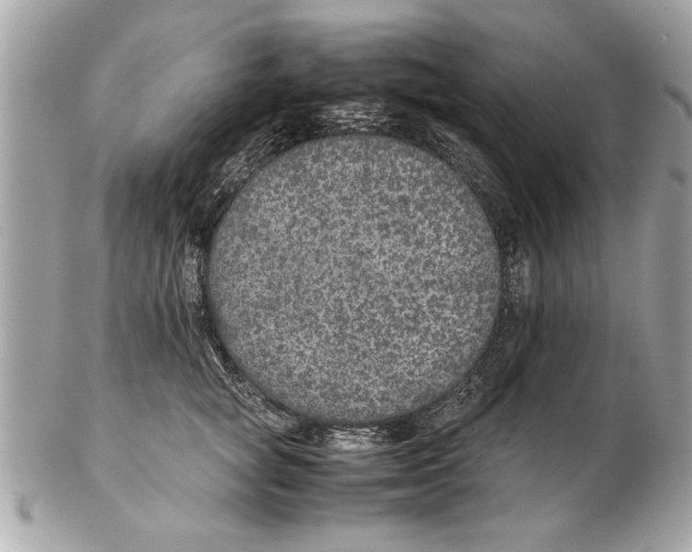 X0000102380757200808291401