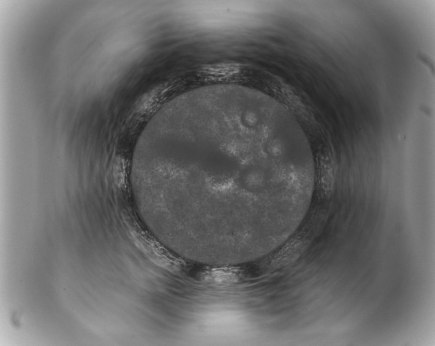 X0000102380758200808291401