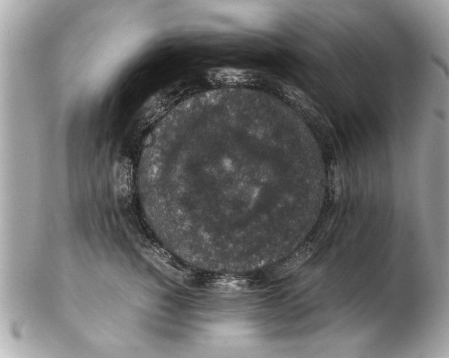 X0000102380760200808291401