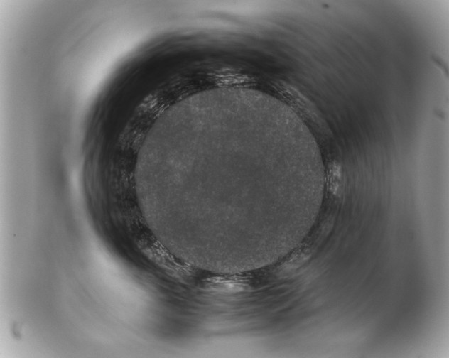 X0000102380763200808291401