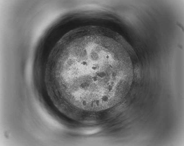 X0000102380765200808291401