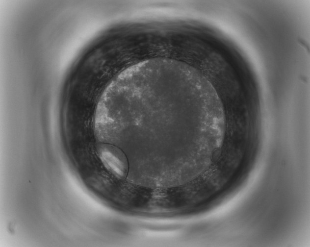 X0000102380766200808291401