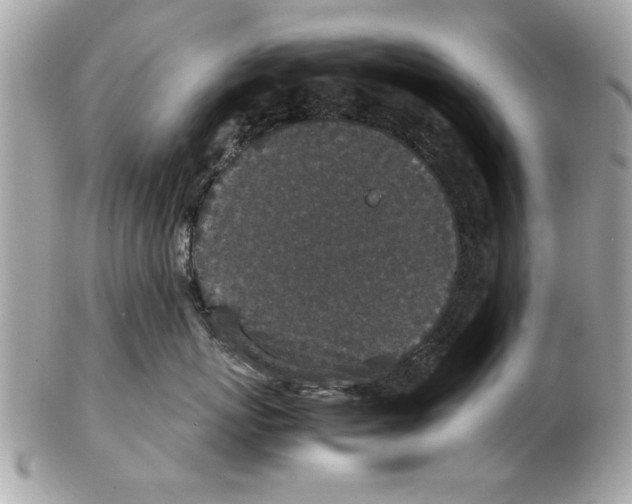 X0000102380767200808291401