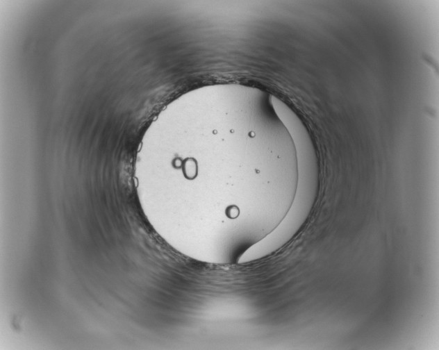 X0000102380768200808291401