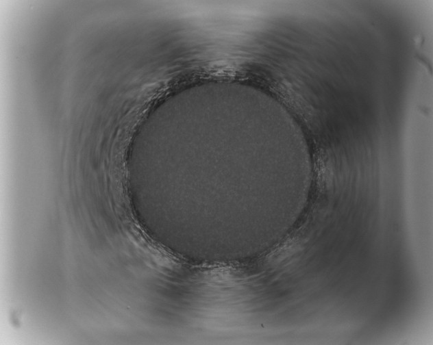 X0000102380769200808291400