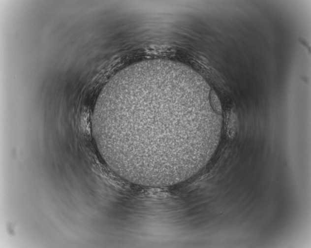 X0000102380770200808291400