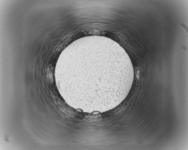 X0000102380771200808291400